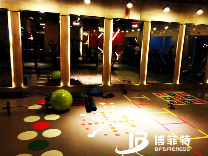 Guangzhou BFT Fitness Equipment Co., Ltd. Customer's Gym Photo